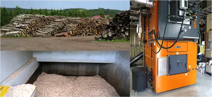 Creation of a forest biomass industry