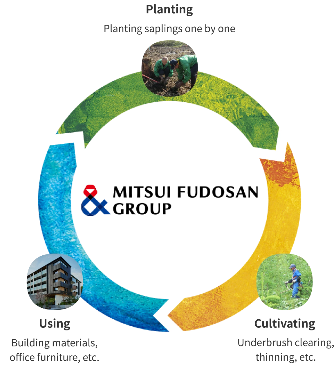 MITSUI FUDOSAN GROUP Planting cultivating Using