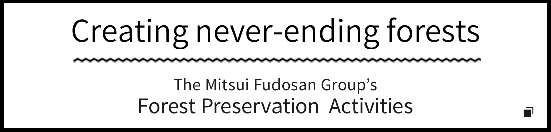 終わらない森創り　三井不動産グループの森林保全活動