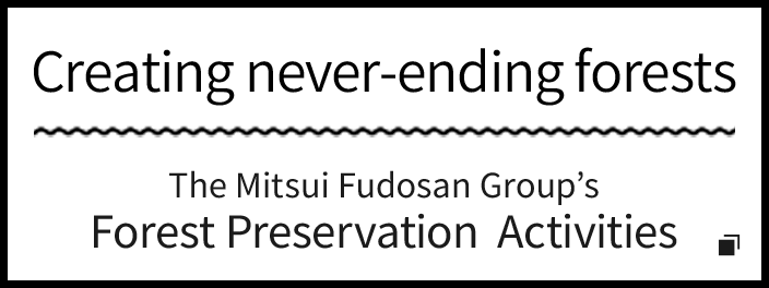 終わらない森創り　三井不動産グループの森林保全活動