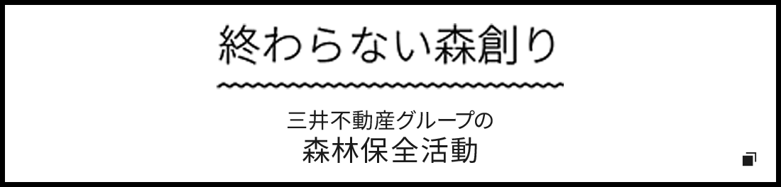 終わらない森創り　三井不動産グループの森林保全活動