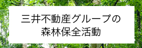 三井不動産グループの森林保全活動
