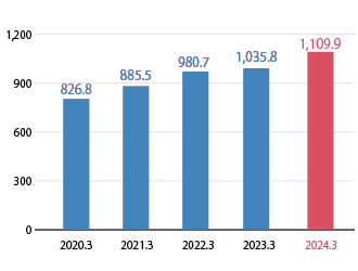 Net Assets per Share