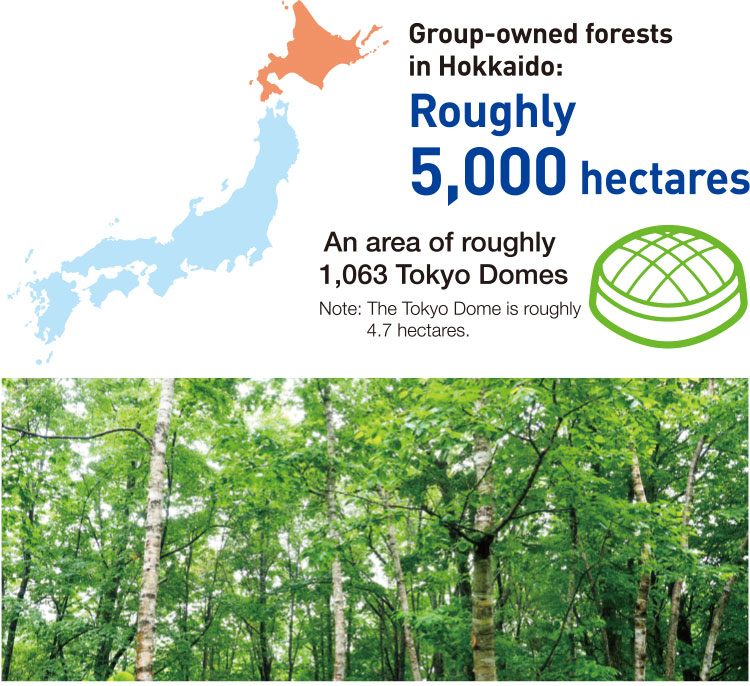 Mitsui Fudosan Group-owned Forests