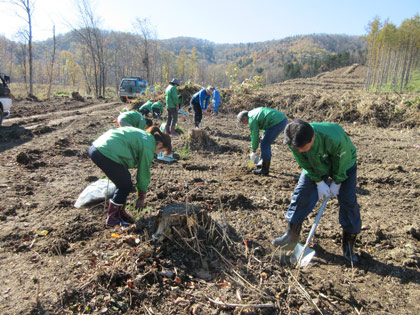 Afforestation training (Mitsui Fudosan)