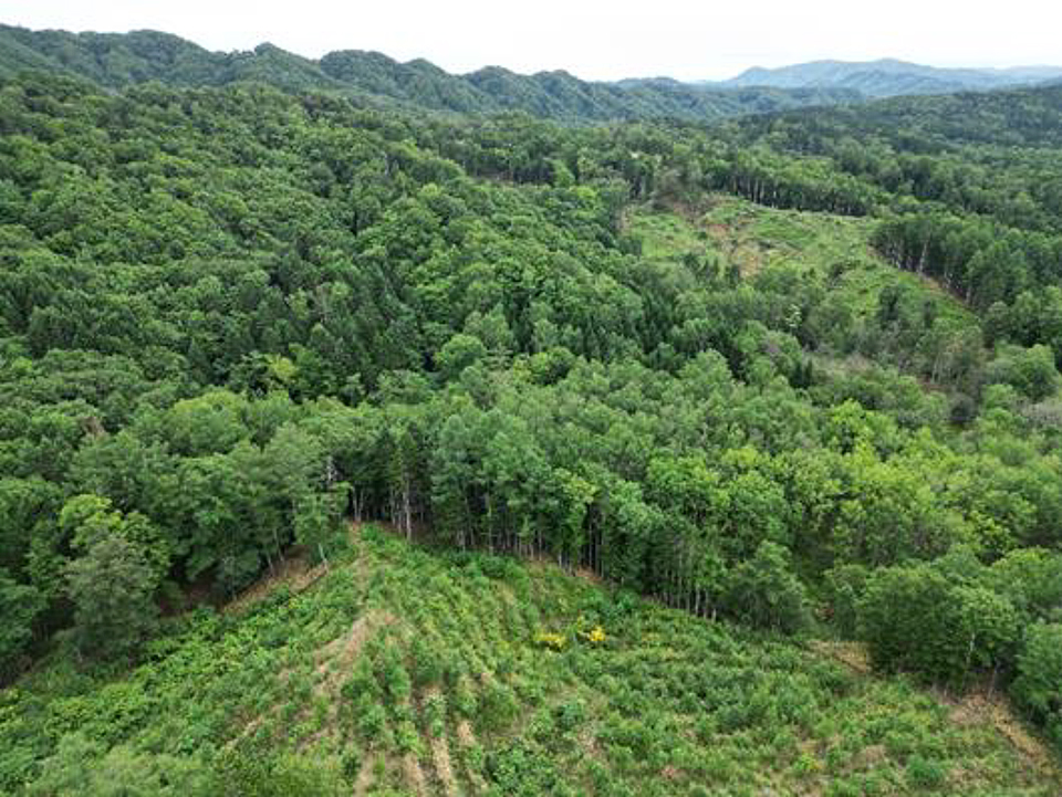 天然林と人工林他の多様な環境がモザイク景観を形成し多様な生物を育む