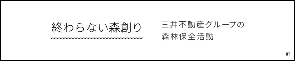 三井不動産グループの森林保全活動