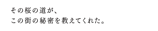 その桜の道が、この街の秘密を教えてくれた。