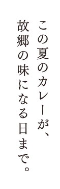 この夏のカレーが、故郷の味になる日まで。